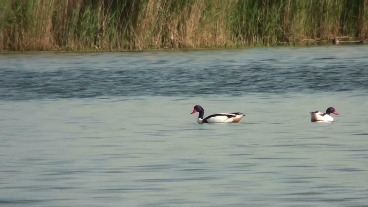 Zacisze Domki Letniskowe Karsibor Świnoujście Eksteriør bilde