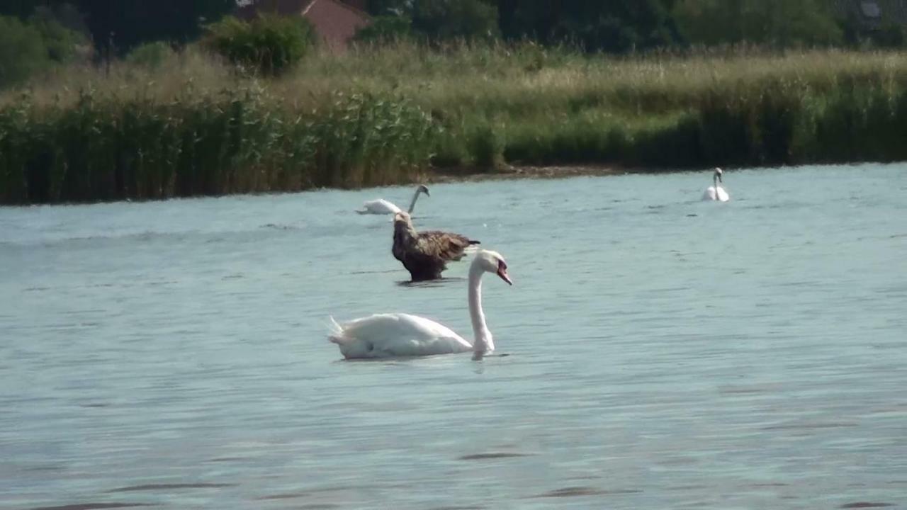 Zacisze Domki Letniskowe Karsibor Świnoujście Eksteriør bilde