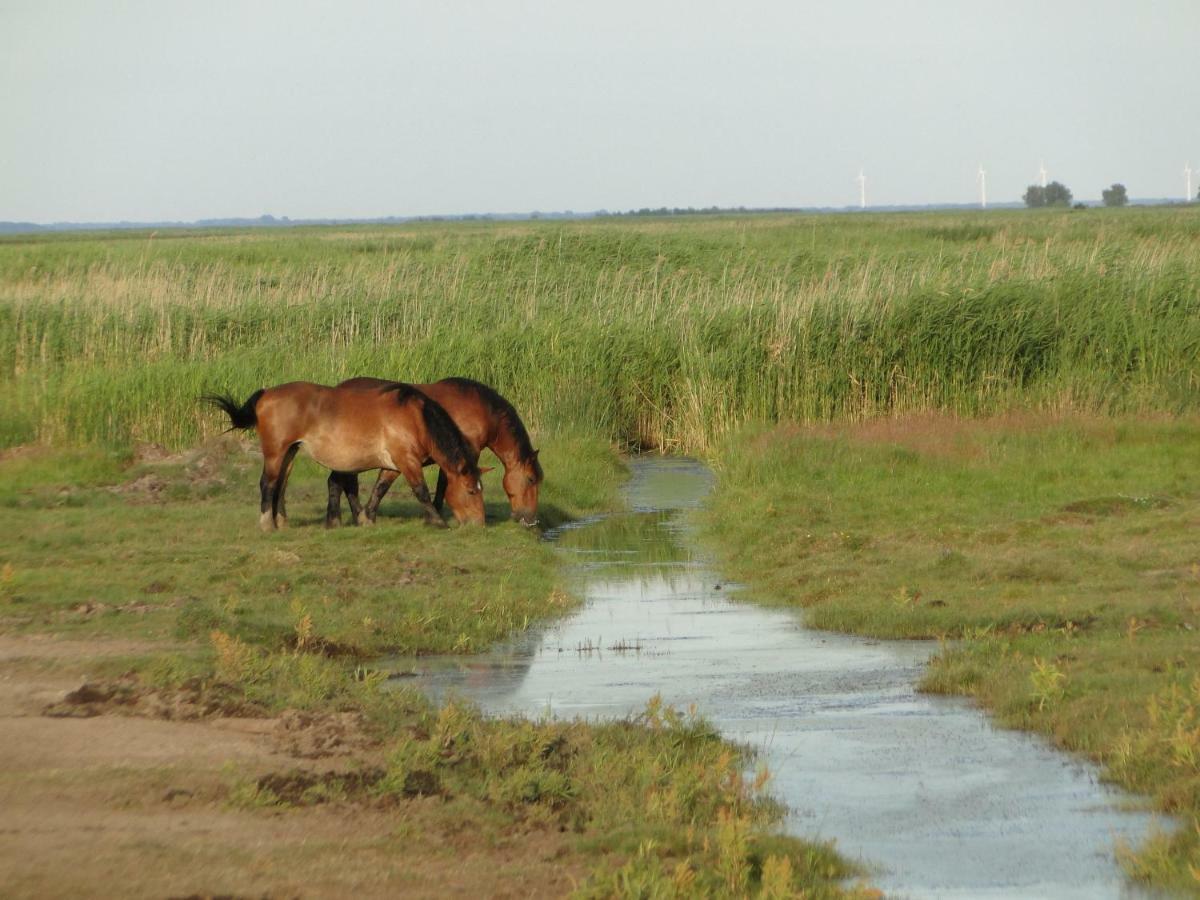 Zacisze Domki Letniskowe Karsibor Świnoujście Eksteriør bilde